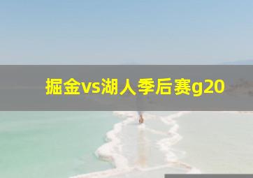 掘金vs湖人季后赛g20