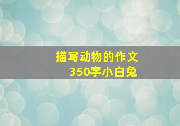 描写动物的作文350字小白兔