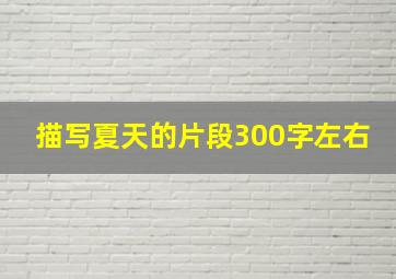 描写夏天的片段300字左右