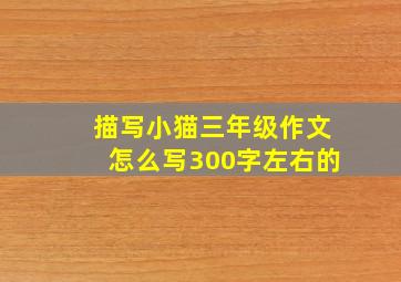 描写小猫三年级作文怎么写300字左右的