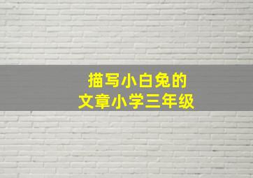 描写小白兔的文章小学三年级