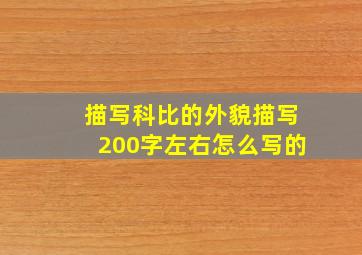 描写科比的外貌描写200字左右怎么写的