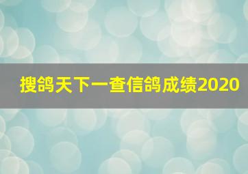 搜鸽天下一查信鸽成绩2020