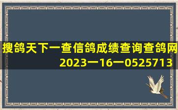 搜鸽天下一查信鸽成绩查询查鸽网2023一16一0525713