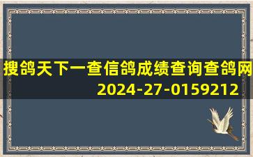 搜鸽天下一查信鸽成绩查询查鸽网2024-27-0159212