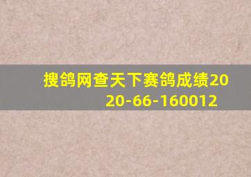 搜鸽网查天下赛鸽成绩2020-66-160012