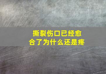 撕裂伤口已经愈合了为什么还是疼