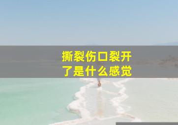 撕裂伤口裂开了是什么感觉