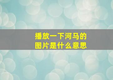 播放一下河马的图片是什么意思