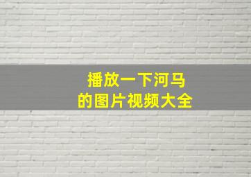 播放一下河马的图片视频大全