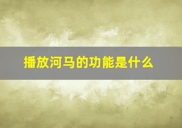 播放河马的功能是什么