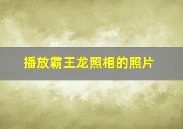 播放霸王龙照相的照片