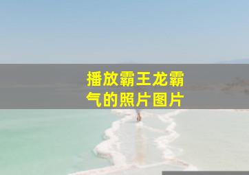 播放霸王龙霸气的照片图片