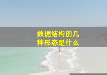 数据结构的几种形态是什么