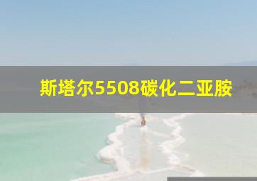 斯塔尔5508碳化二亚胺