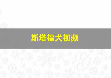 斯塔福犬视频