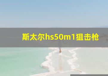 斯太尔hs50m1狙击枪