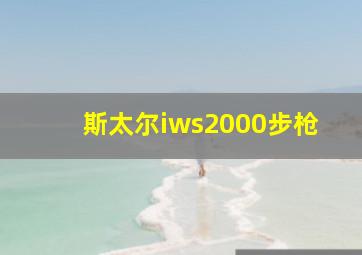 斯太尔iws2000步枪