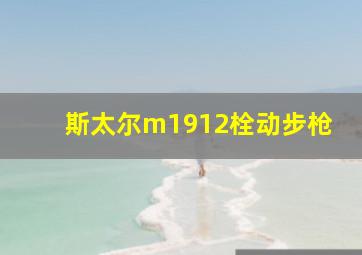 斯太尔m1912栓动步枪