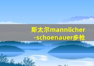 斯太尔mannlicher-schoenauer步枪