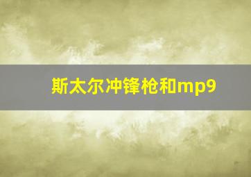 斯太尔冲锋枪和mp9