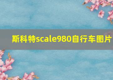 斯科特scale980自行车图片