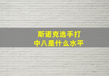 斯诺克选手打中八是什么水平