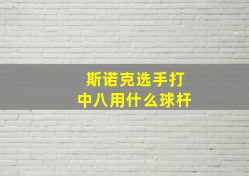 斯诺克选手打中八用什么球杆