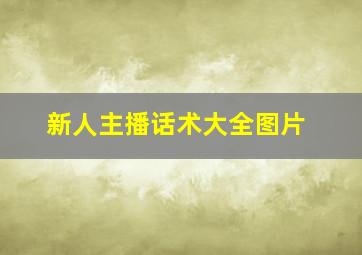 新人主播话术大全图片