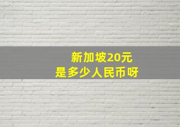 新加坡20元是多少人民币呀