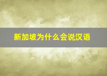 新加坡为什么会说汉语