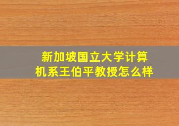 新加坡国立大学计算机系王伯平教授怎么样