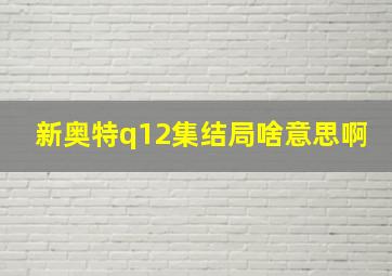 新奥特q12集结局啥意思啊