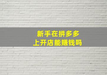 新手在拼多多上开店能赚钱吗