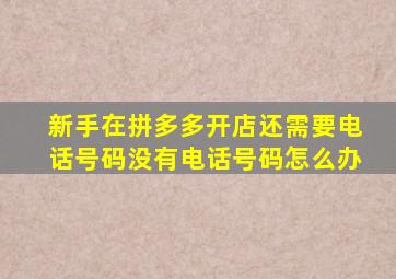 新手在拼多多开店还需要电话号码没有电话号码怎么办