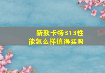 新款卡特313性能怎么样值得买吗