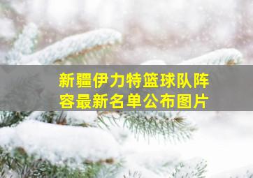 新疆伊力特篮球队阵容最新名单公布图片