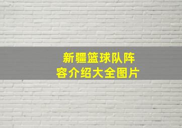 新疆篮球队阵容介绍大全图片