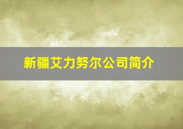 新疆艾力努尔公司简介