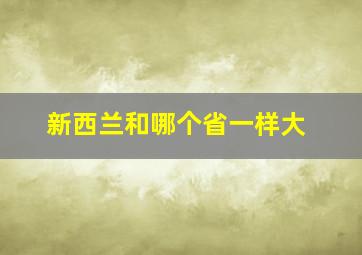 新西兰和哪个省一样大