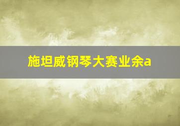 施坦威钢琴大赛业余a