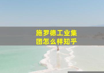 施罗德工业集团怎么样知乎