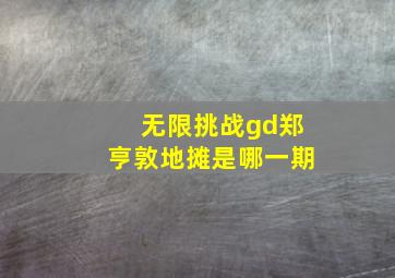 无限挑战gd郑亨敦地摊是哪一期