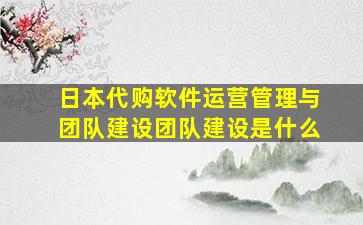 日本代购软件运营管理与团队建设团队建设是什么