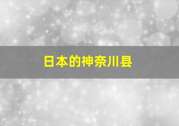 日本的神奈川县