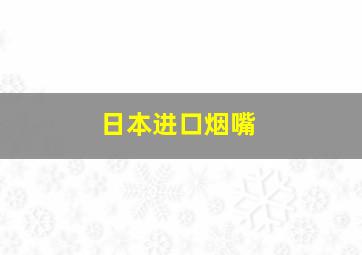 日本进口烟嘴