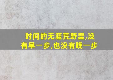 时间的无涯荒野里,没有早一步,也没有晚一步