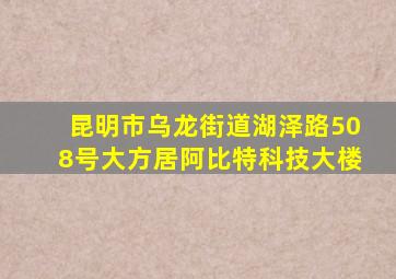 昆明市乌龙街道湖泽路508号大方居阿比特科技大楼