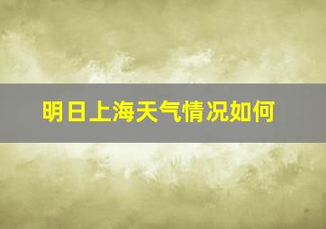 明日上海天气情况如何