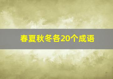 春夏秋冬各20个成语